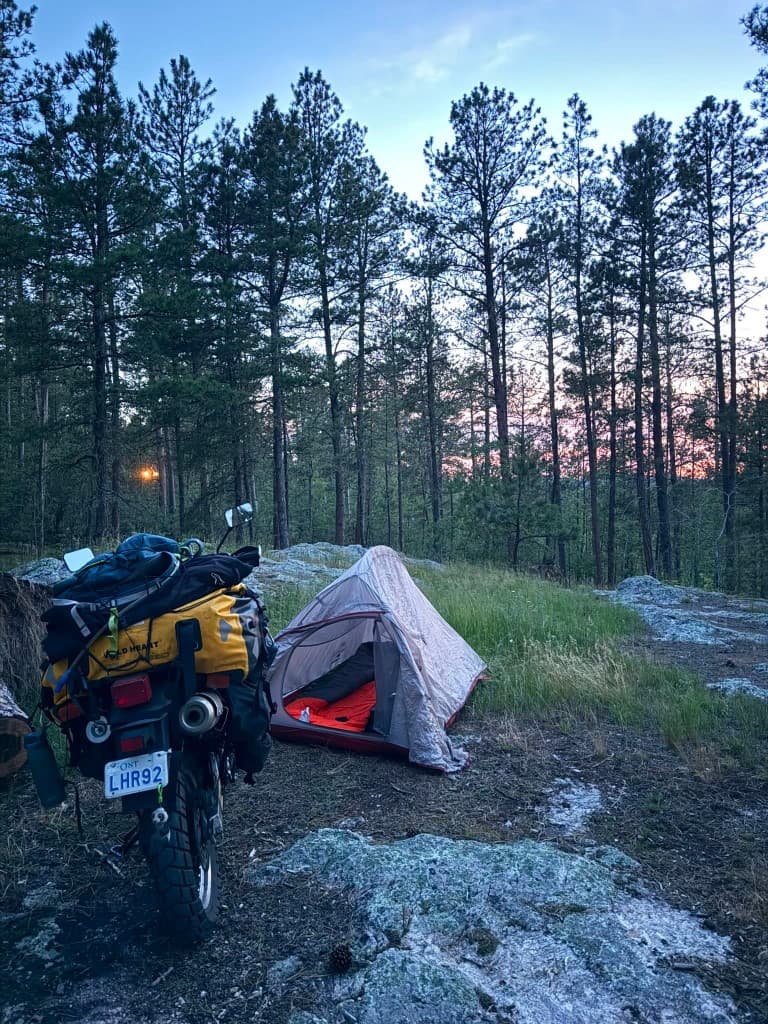 Solo motorcycle camp at dusk in a pine forest